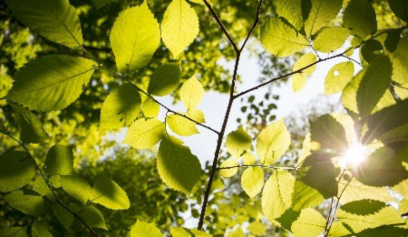 Block env stewardship